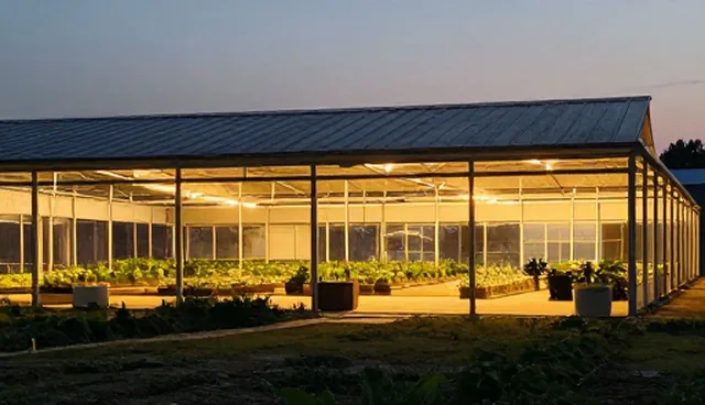 技术推广中的维护建议:流程优化如何提升效率